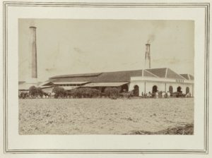 suikerfabriek Beran Jogjakarta